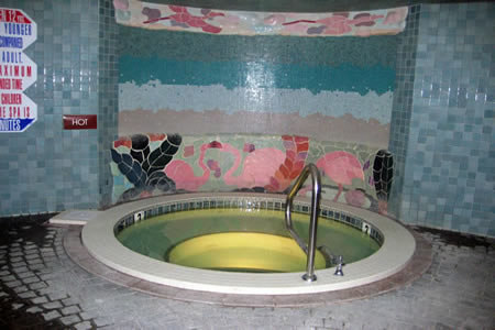 Showcase Commercial Tiled Spas 40