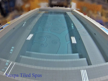 Swim Spas 5